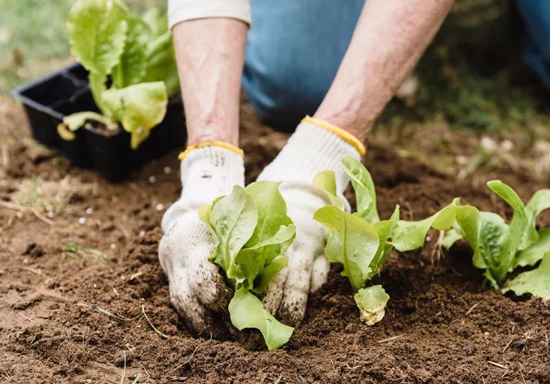 關(guān)注 第三次全國(guó)土壤普查開(kāi)始了!第三方檢測(cè)項(xiàng)目、方法、實(shí)驗(yàn)室儀器配置一覽!