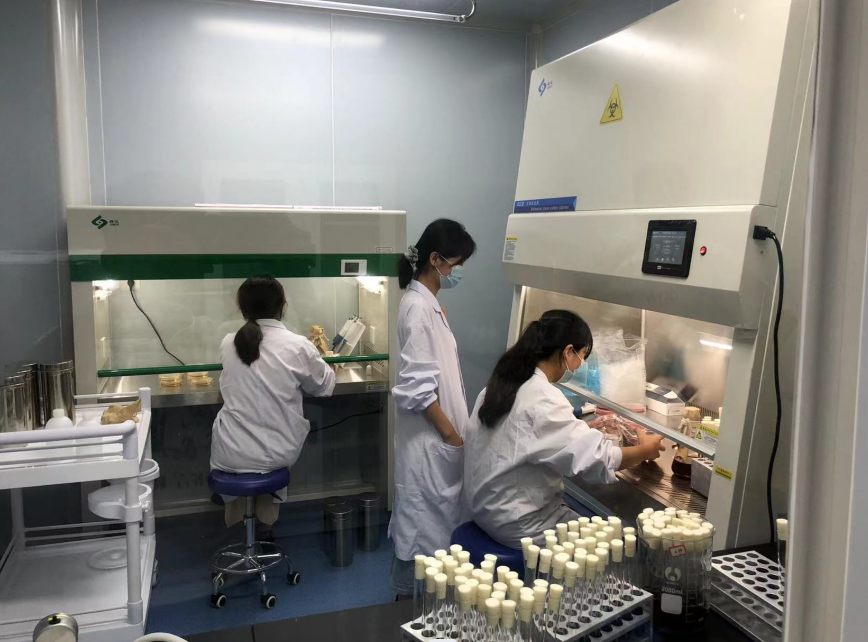 公共衛生檢測的重要性,你了解嗎?