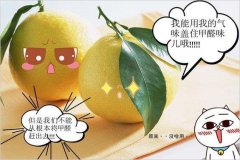 去除甲醛的方法多種多樣,哪種最實用靠譜